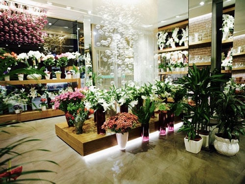 come-arredare-un-negozio-di-fiori-e-piante_Istambul