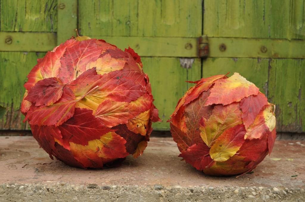 decorazioni-vetrine-autunnali-idee-fai-da-te