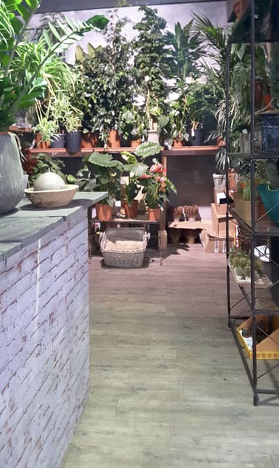 errori-arredamento-negozio-di-fiori