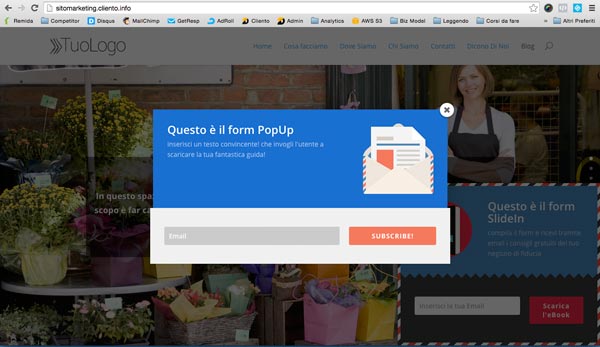 sito-web-per-negozio-form-raccolta-contatto