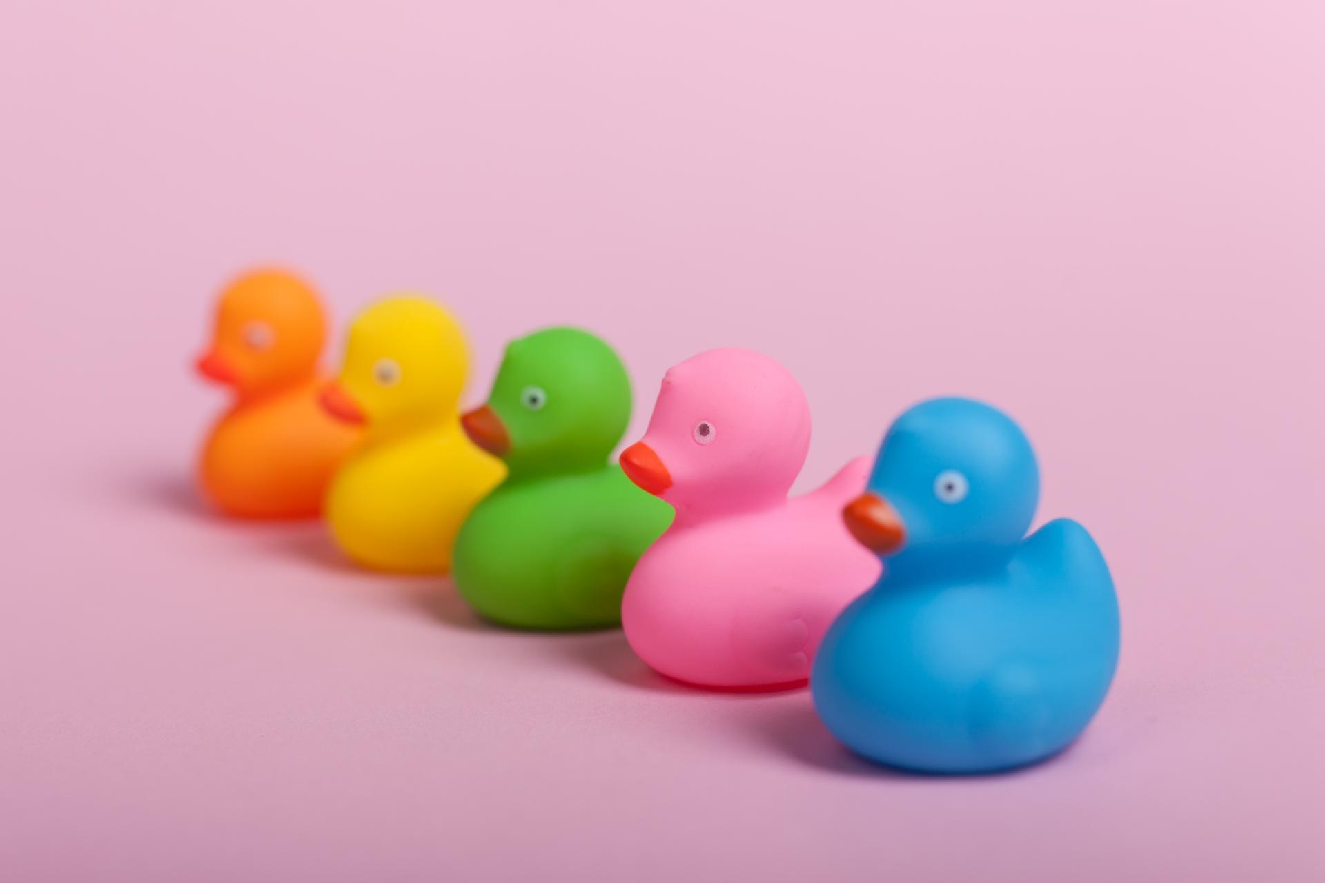 Come arredare un negozio:  6 Consigli d’Oro