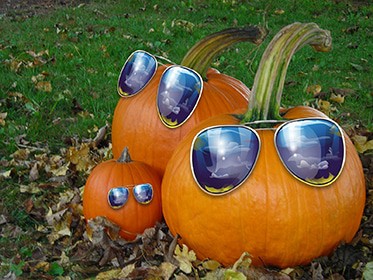 vetrine-halloween-allestimento-zucche-occhiali